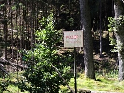 Management
